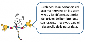 Módulo De Ciencias Naturales – CIV / MII – 2 Genética – Mutaciones Y ...